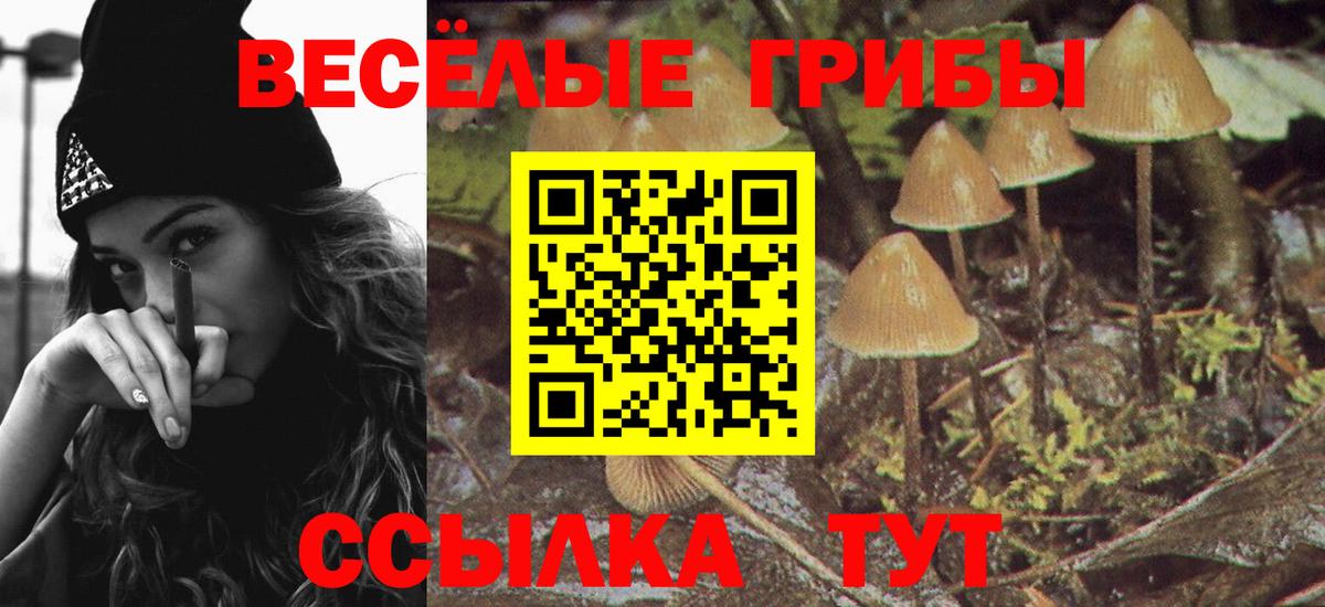 Псилоцибиновые грибы MAGIC MUSHROOMS  купить  сайты  Псилоцибиновые грибы Magic Shrooms  Прокопьевск  Вход с VPN 